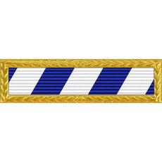 South Carolina National Guard Governor's Unit Citation with Small Gold Frame